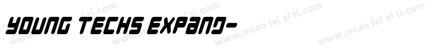 Young Techs Expand字体转换